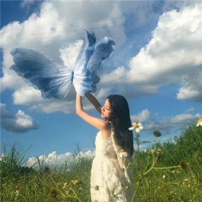 毒枭:墨西哥第二季